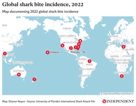 Mapped: World’s shark attack hotspots revealed