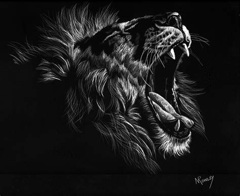 Roaring Lion Drawing by Norma Rowley