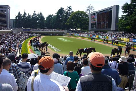 Horse racing in Japan: a gambler’s paradise | Time Out Tokyo