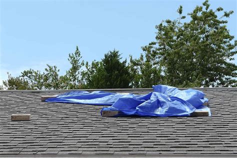 Wind Damage Roof Insurance Claims (A Guide on What To Do)