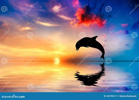 Beautiful Ocean And Sunset, Dolphin Jumping Royalty Free Stock Photography - Image: 30199317