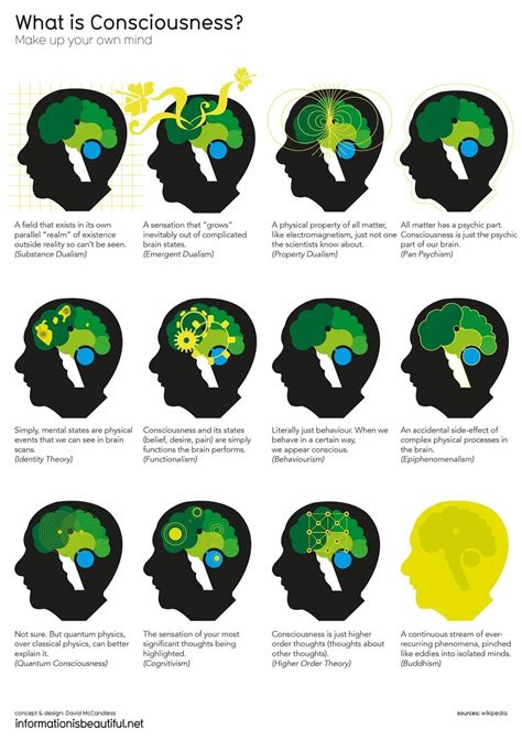 Philosophy Matters on Twitter | What is consciousness, Quantum consciousness, Theory of ...