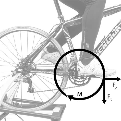 (PDF) Biomechanics of Cycling