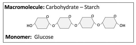 Solved Macromolecule: Carbohydrate – Starch Monomer: Glucose | Chegg.com