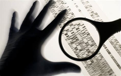 Forensics gone wrong: Why DNA evidence is not infallible - Genetic ...