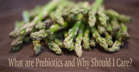 What Are Prebiotics and Why Should I Care? | Fermentation Recipe