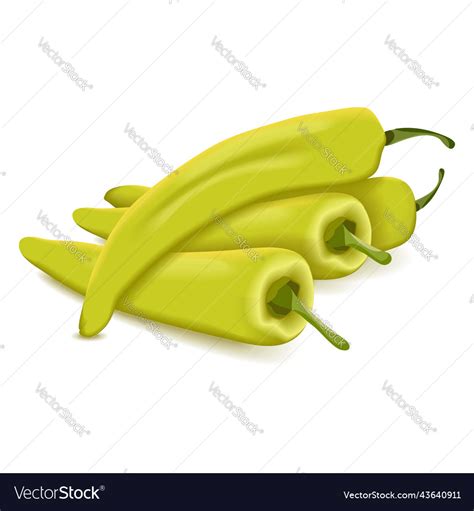 Group banana pepper Royalty Free Vector Image - VectorStock