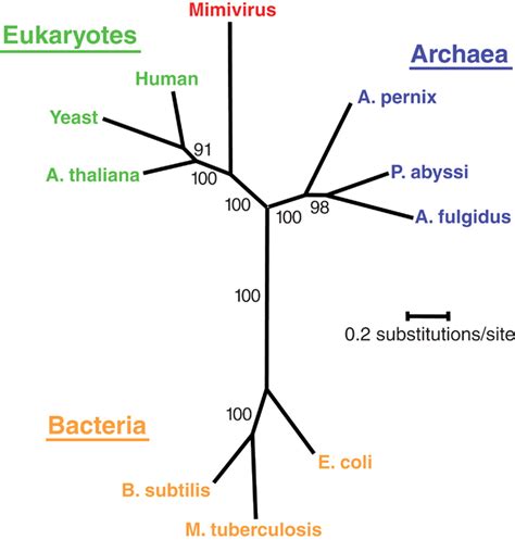 The 1.2-Megabase Genome Sequence of Mimivirus | Science