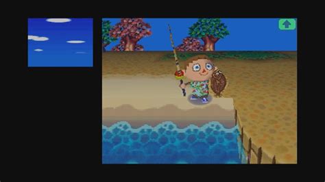 Animal Crossing: Wild World Wii U Virtual Console footage