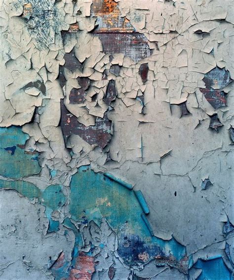 AI-AP | Pro Photo Daily » Exhibitions: Robert Polidori and the Monumental Art of Deterioration