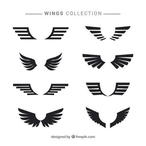 Bird Wings Vector at GetDrawings | Free download