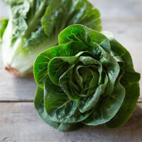 Organic Lettuce Seeds - Little Gem | Vegetable Seeds in Packets & Bulk | Eden Brothers