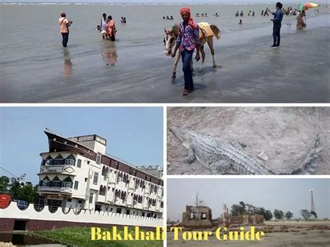 Bakkhali Tour Guide and travel sightseeing | tourist spot trip #Bakkhali Travel And Tourism ...