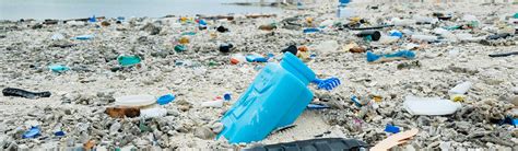 Sea Pollution - Polluting the Seas | Young People's Trust For the Environment