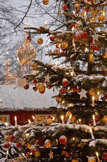 gyclli: ♥★°•.☆.•°` ★°•.♥☆ Wish all the TUMBLR Family a Merry Christmas and… | Outdoor christmas ...