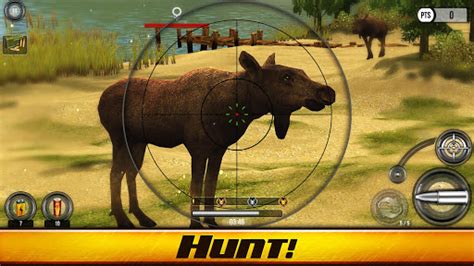 Wild Hunt: Hunting Games 3D [v1.462] APK Mod for Android - Modbigs