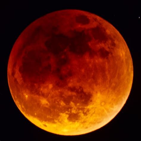 Lunar eclipse harvest moon super moon blood moon 2015 | Flickr