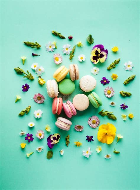 Colorful Macaroons and Flowers Stock Image - Image of colorful, cookie: 94771641