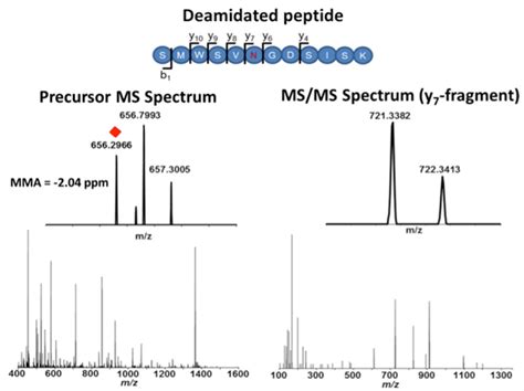 Deamidation and Oxidation Analysis Service - Pronalyse