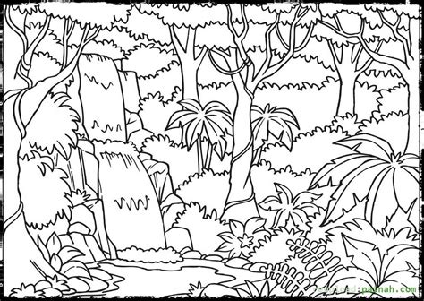 Rainforest Coloring Pages Coloring Pages Gallery | peru wall