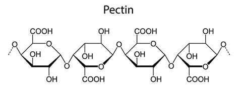 Is Pectin Vegan? | VeganFriendly.org.uk