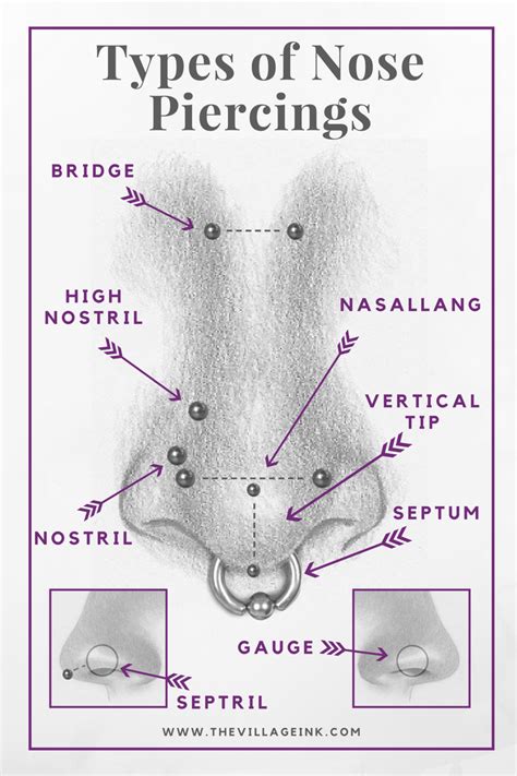 Types of Nose Piercings | Nose piercing, Nose piercing placement, Piercings