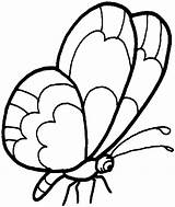 Coloring Picture Butterfly sketch template
