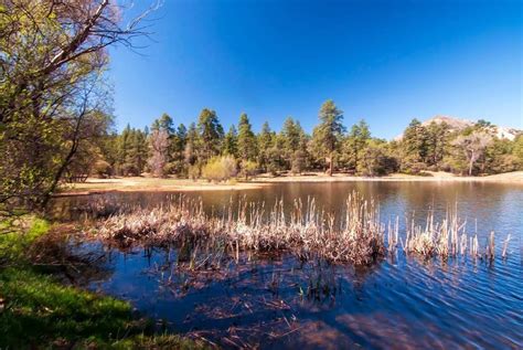 10 Best Utah Lake Camping Destinations for a Weekend on the Water