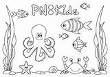 Coloring Book Outlines Pages sketch template