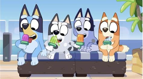 Bluey muffin socks and bingo Heeler eat popsicles. : bluey