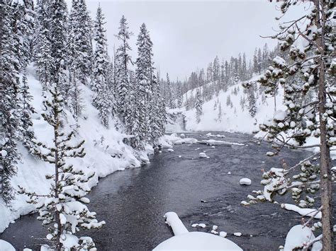 Yellowstone Winter Tour | Mark File