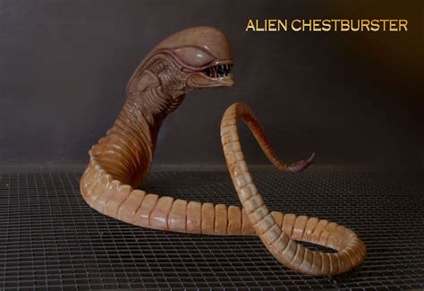 ALIEN CHESTBURSTER | Xenomorph, Alien, Alien vs