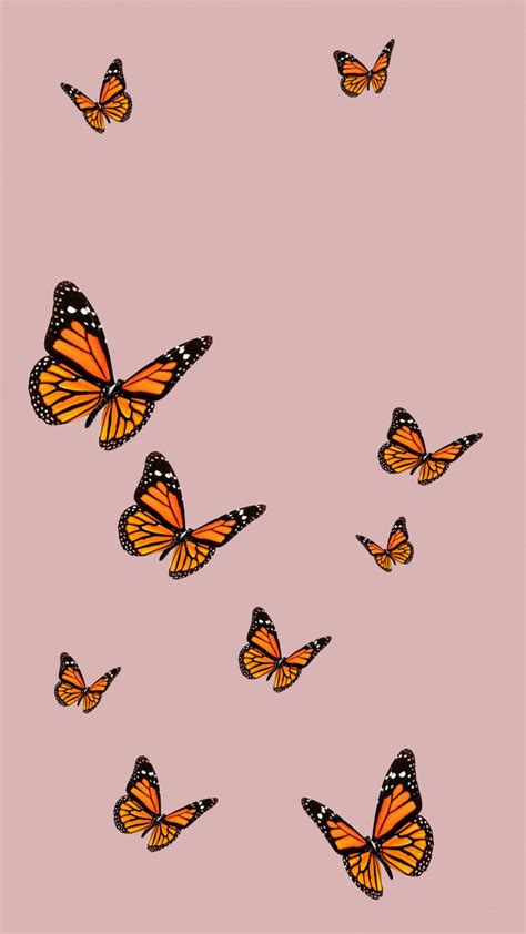 Pink Butterfly Aesthetic Wallpapers Free download