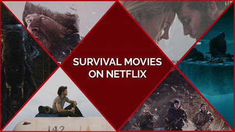 20 Best Survival Movies on Netflix To Overcome Any Fear