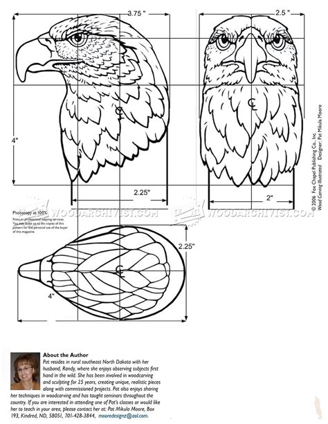 Carving Eagle Bust • WoodArchivist