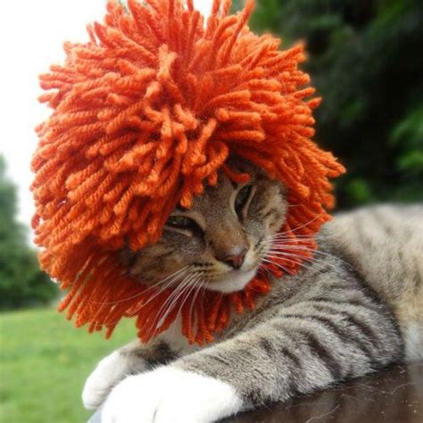 Gorro - León | Lion mane for cat, Pet day, Dog hat