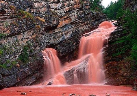 Canada (calgary, AB) is home to a real pink waterfall and it's incredible (PHOTOS) | Daily Hive ...