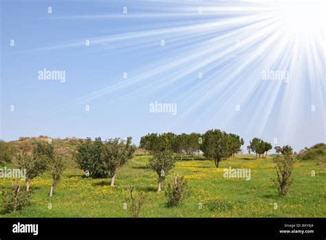 Midday Sun Landscape High Resolution Stock Photography and Images - Alamy