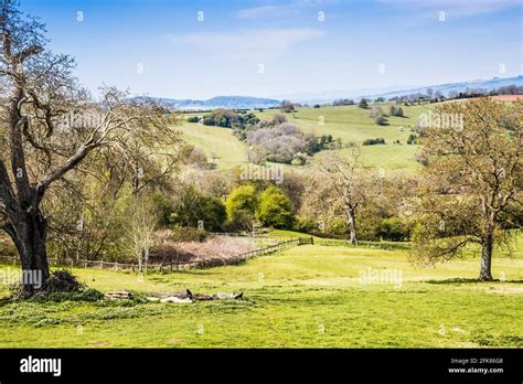 Spring view over rolling countryside in the Worcestershire Cotswolds Stock Photo - Alamy