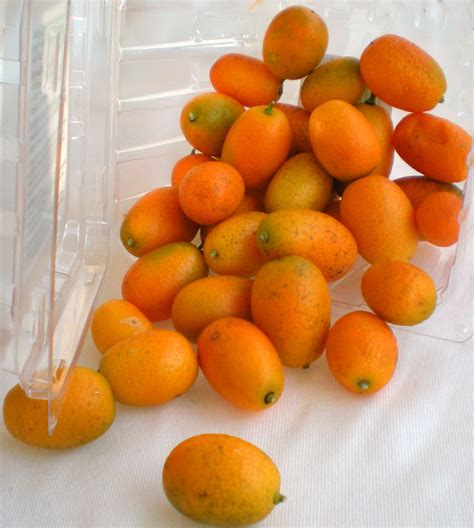 A Cook and Her Books: Consider the kumquat