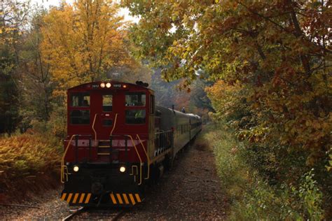 Fall Foliage Trains - Hobo Railroad