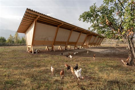 Gallery of House of Chickens / SO? Architecture and Ideas - 13