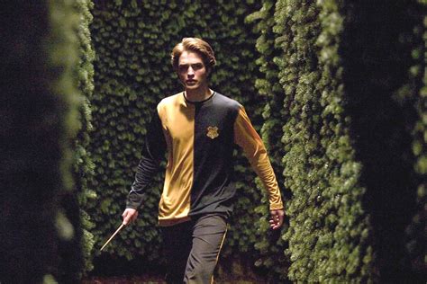 Cedric Diggory - Hufflepuff Photo (28197531) - Fanpop