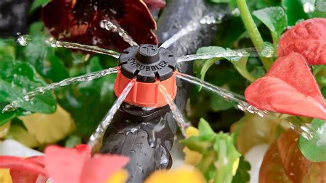 Antelco Shrubbler ® Pressure Compensating Drip Irrigation PC Drippers ...