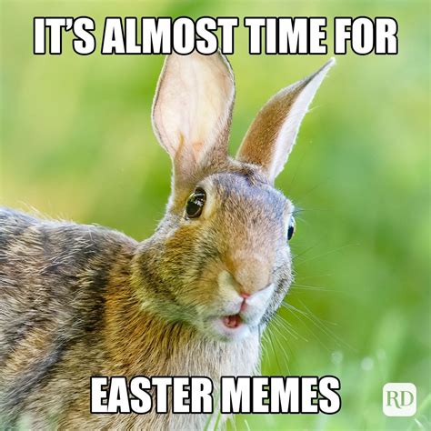 Easter Memes 2024: Happy Easter Memes for Spring