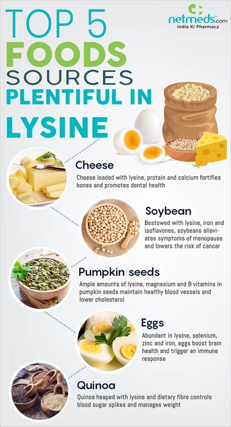 5 Foods Splendid In Lysine That Promotes Overall Health - Infographic