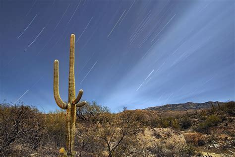 Saguaro National Park Tucson Arizona - [3600 x 2400]