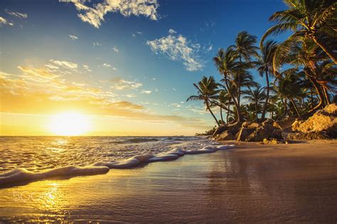 Landscape of paradise tropical island beach, sunrise shot - Palm trees on the tropical beach ...