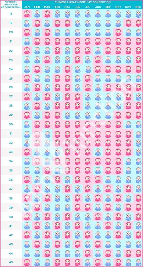 Gender Predictor Chart 2024