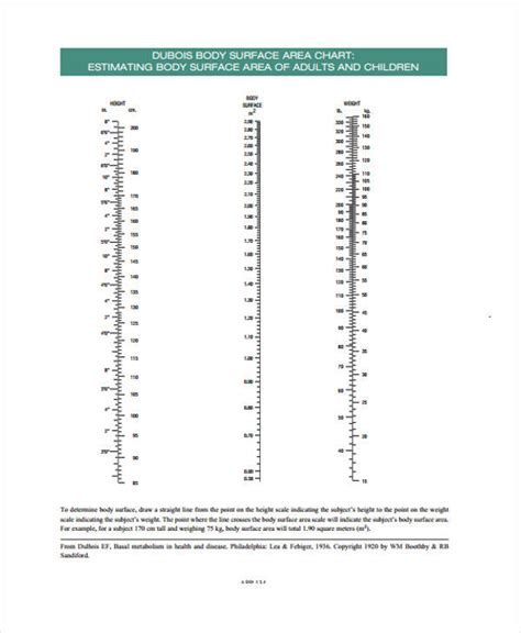 9+ Body Chart Templates - Free Sample, Example Format Download